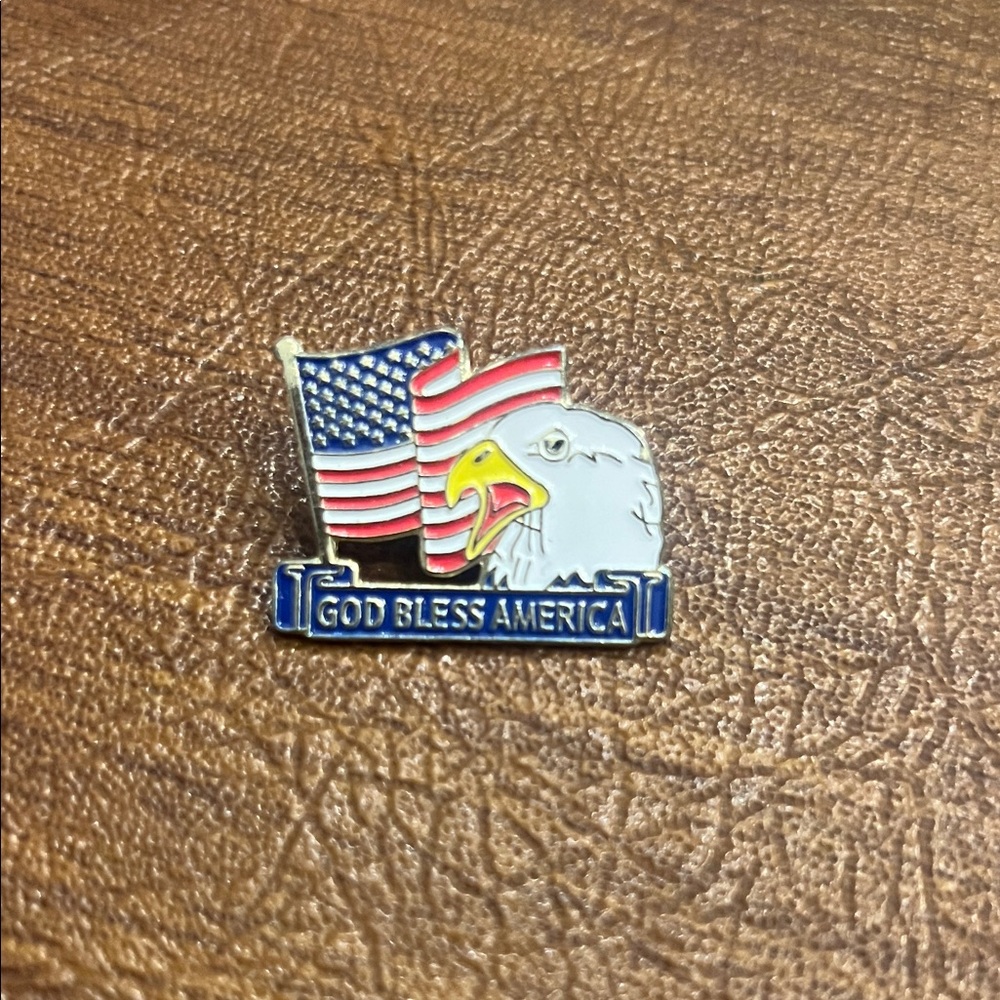 Patriotic American Flag and Eagle Pin